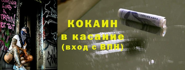 прущие грибы Няндома
