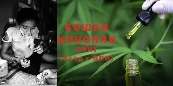 PSILOCYBIN Новодвинск