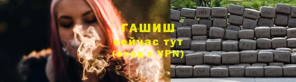 прущие грибы Няндома