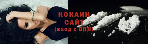 ПСИЛОЦИБИНОВЫЕ ГРИБЫ Новозыбков