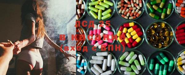 PSILOCYBIN Новодвинск
