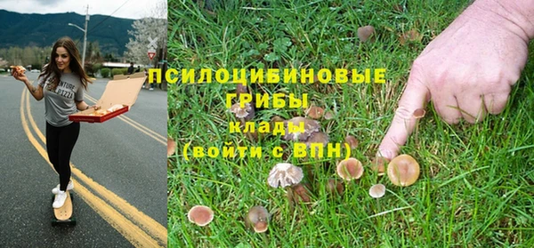 прущие крисы Нязепетровск