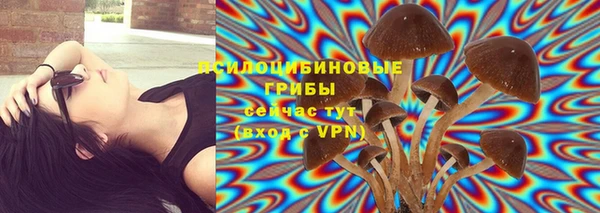 PSILOCYBIN Новодвинск