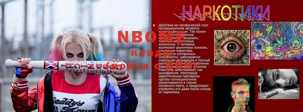 ПСИЛОЦИБИНОВЫЕ ГРИБЫ Новозыбков