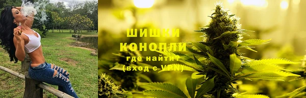 PSILOCYBIN Новодвинск