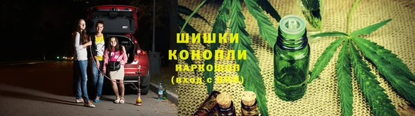 PSILOCYBIN Новодвинск