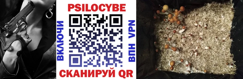 Псилоцибиновые грибы Psilocybe  кракен   Белоярский 